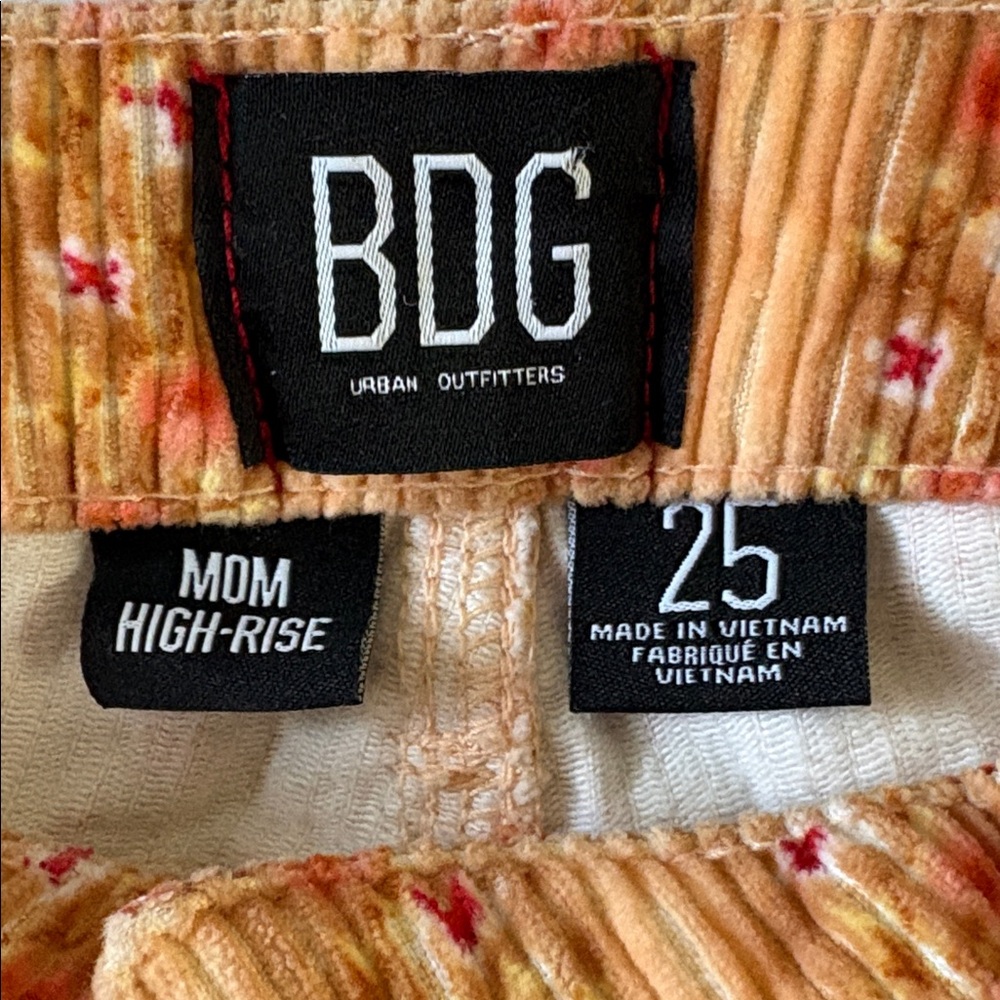 BDG Urban Outfitters Mom High Rise Corduroy Striped Floral Pants - Picture 7 of 9